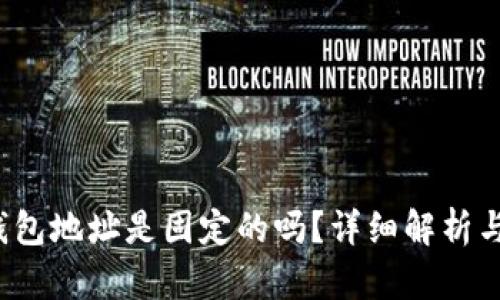  虚拟币钱包地址是固定的吗？详细解析与实用指南